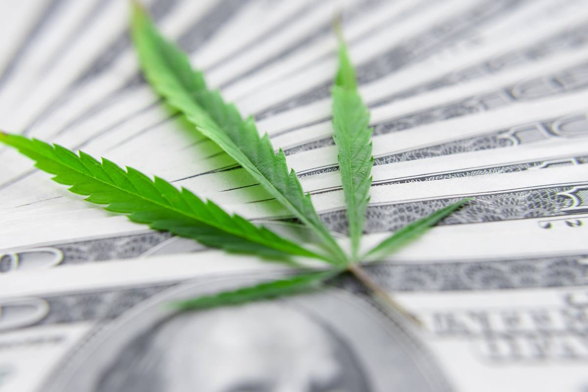 Without the SAFE Banking Act, hemp banking rights remain in a legal gray area. The hemp industry is financially and legally vulnerable. Photo: A hemp lead sitting on a fanned-out stack of $100 bills.