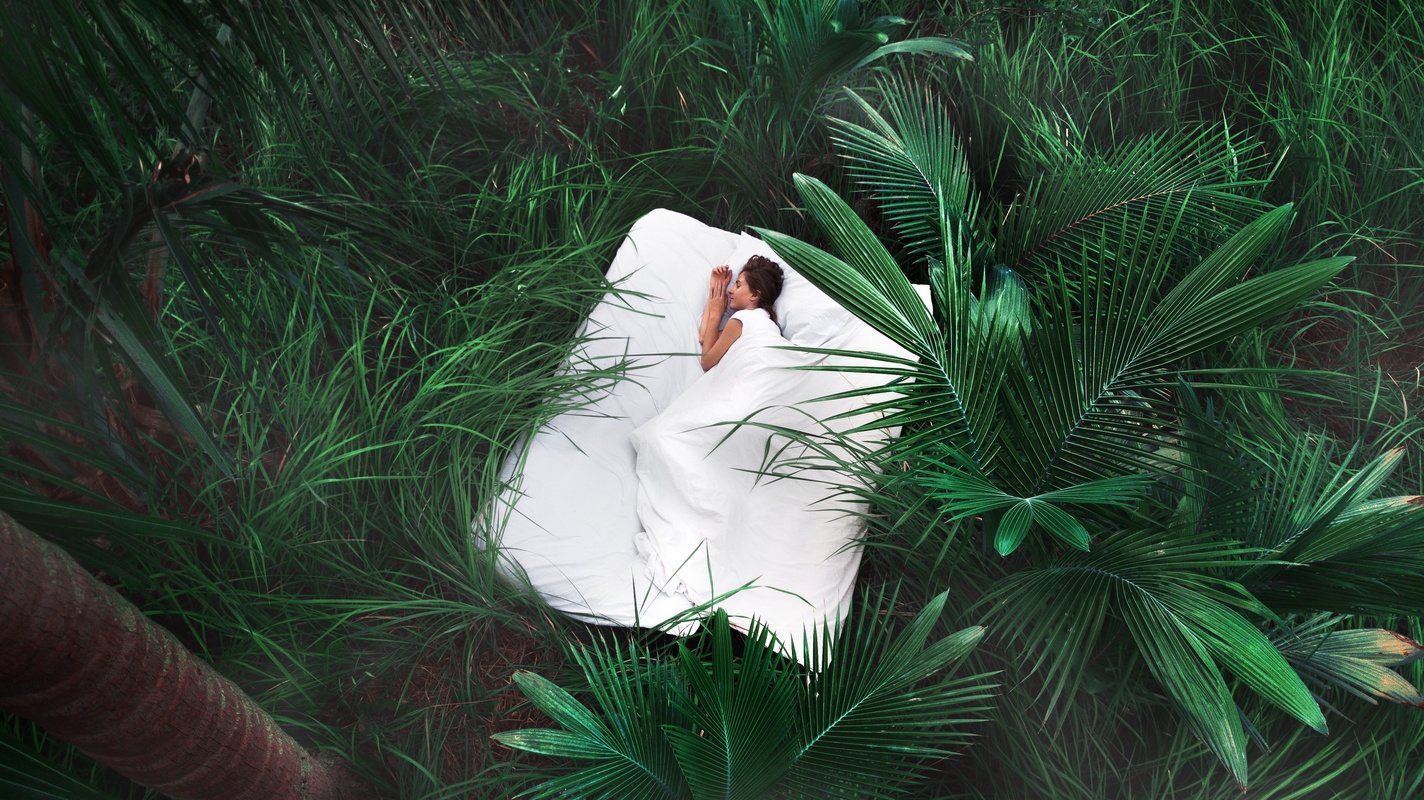 Natural sleep aids can help us sleep better, and might have fewer side effects. Photo: A fantasy image of a woman curledd on a bed in white sheets, among thick lush jungle greenery.