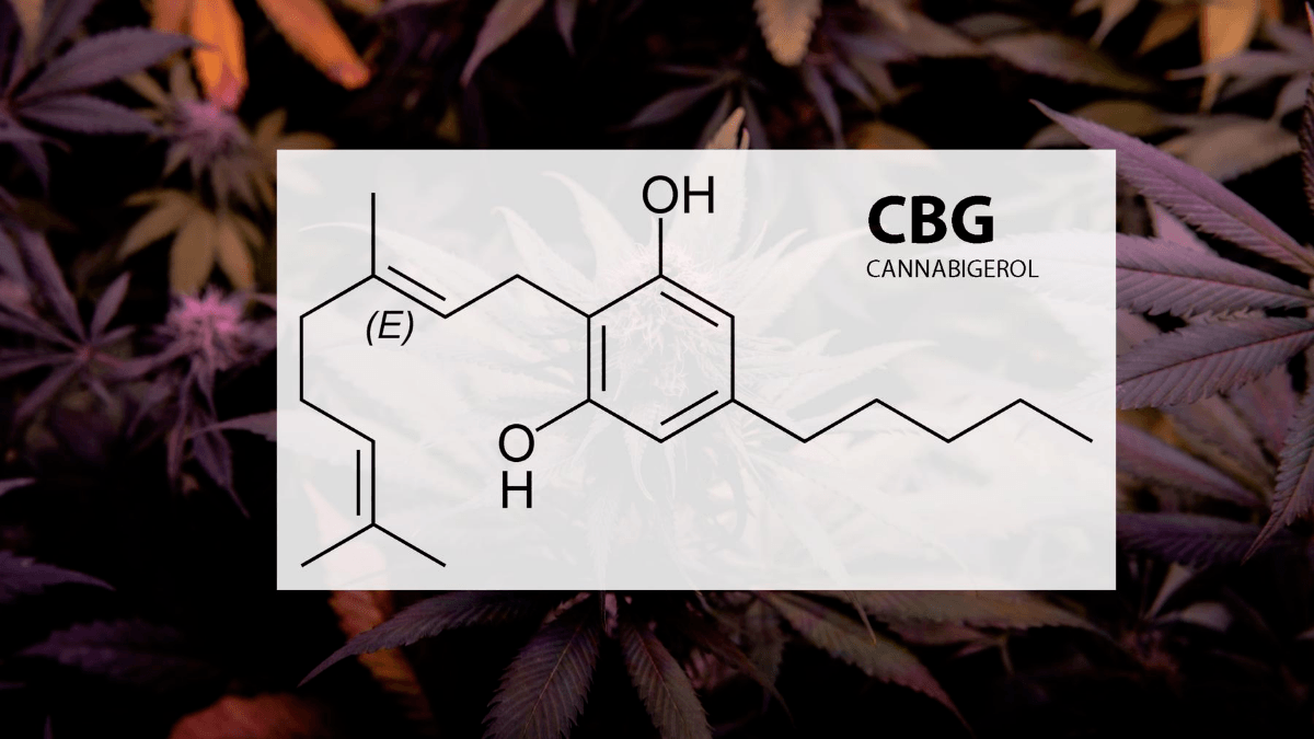 Photo: A diagram of the CBG molecule set against a backdrop of hemp leaves.