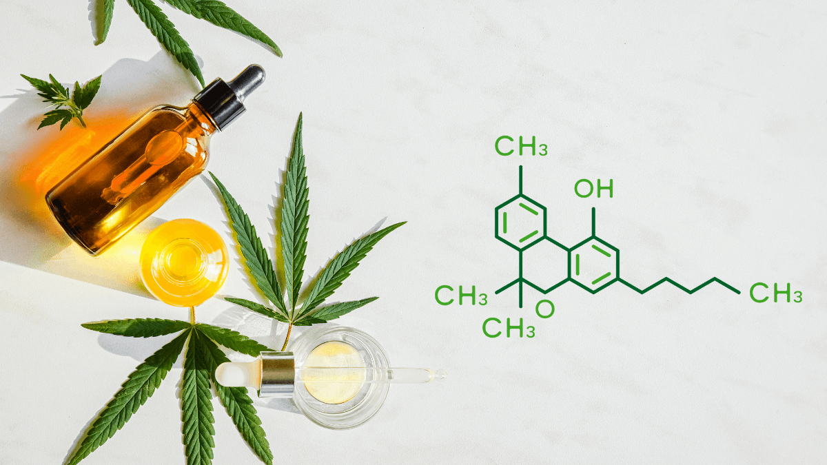 CBN is a cannabinoid found in hemp and cannabis with unique health benefits. An arrangement of generic tincture bottles with hemp leaves, and an image of the CBN molecule.